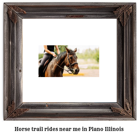 horse trail rides near me in Plano, Illinois